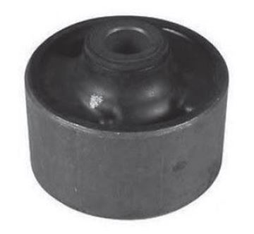 ALT SALINCAK BURCU (BÜYÜK) - i20 08-14 resimleri